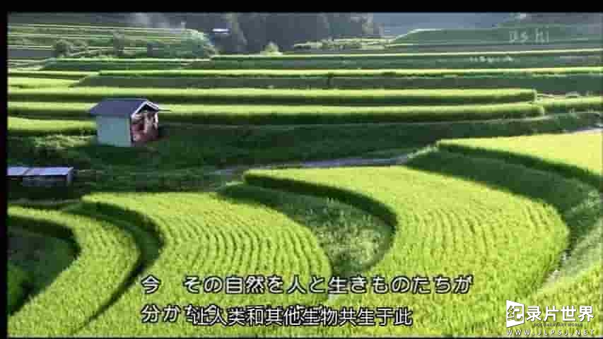 NHK纪录片《映像诗 – 里山: 还记得吗? 故乡的风景 Satoyama: Do You Remember? The View Of Hometown 2008》全1集
