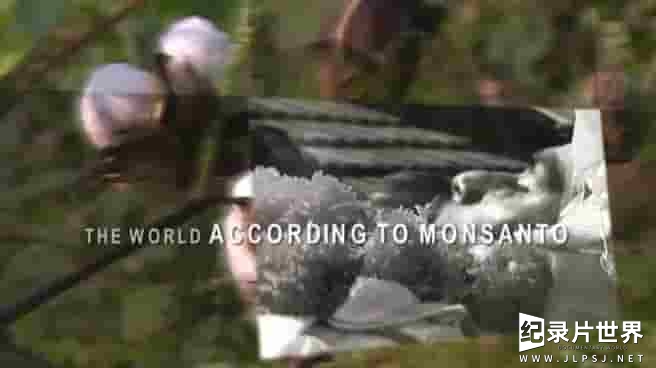 法国纪录片《孟山都公司眼中的世界 A World According to Monsanto》全1集