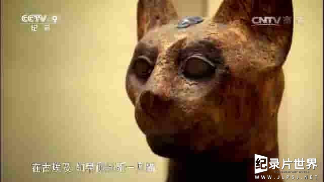 央视纪录片《探秘埃及动物木乃伊 Egypt's Animal Mummies》全2集