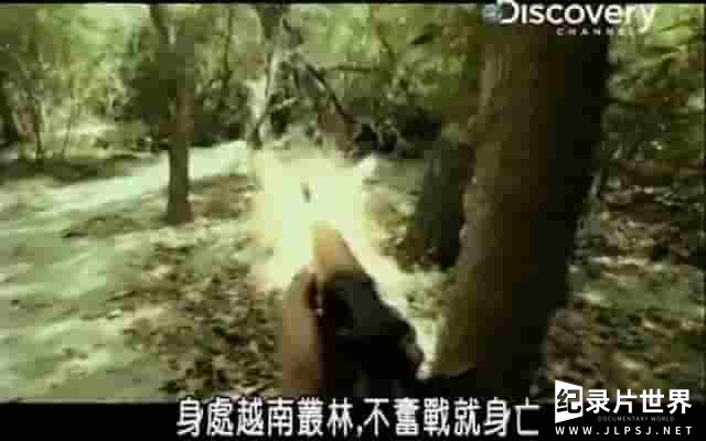 探索频道《目击最前线：越南五月血战 Warrior Pov Search And Destroy》全1集