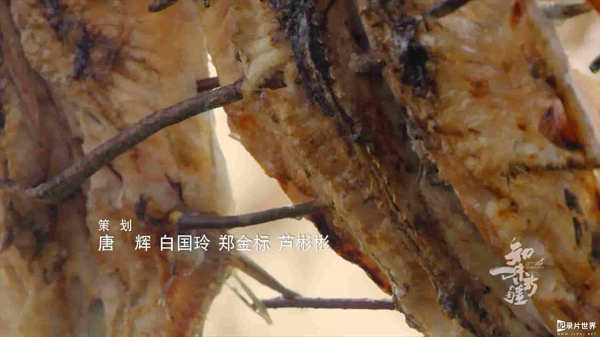 国产纪录片《知味新疆 Taste Of XinJiang 2021》全10集