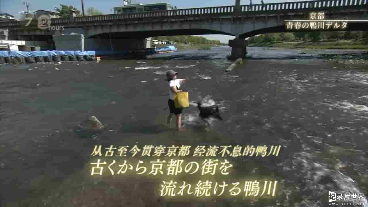 NHK纪录片《纪实72小时 京都 青春的鸭川三角洲》全1集 