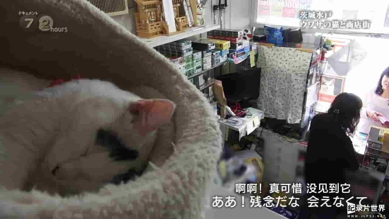 NHK纪录片《纪实72小时 传说中的赐福猫与商业街》全1集