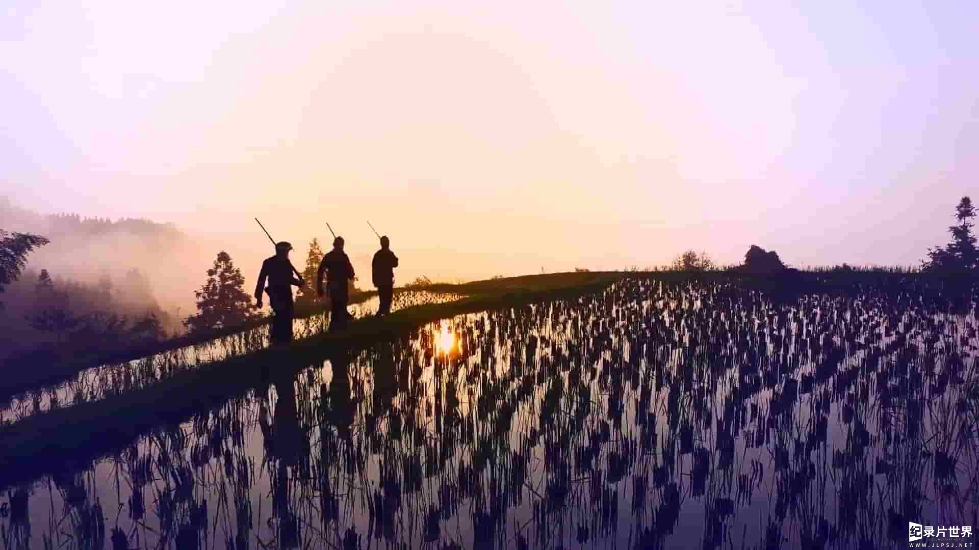 央视纪录片《飞越多彩贵州山水路城》全1集 