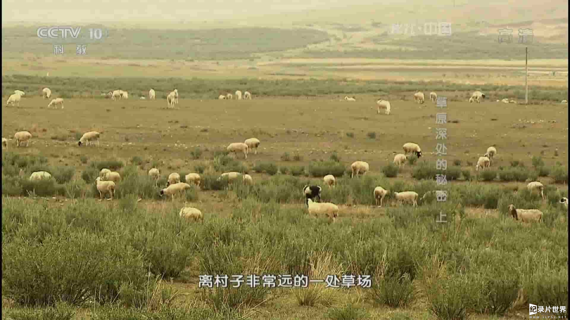 央视纪录片《地理中国 草原深处的秘密》全3集 