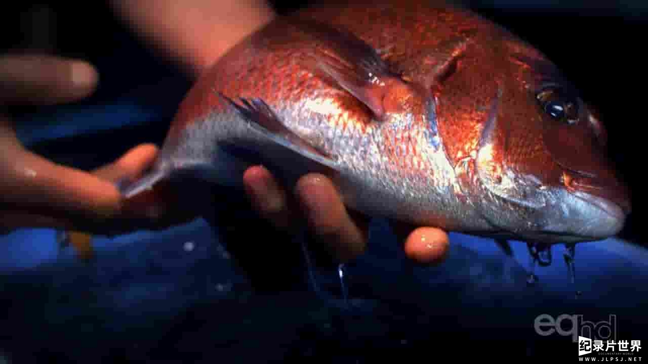 NHK纪录片《筑地世界最大的鱼市/不可思议之手 2017》全1集 