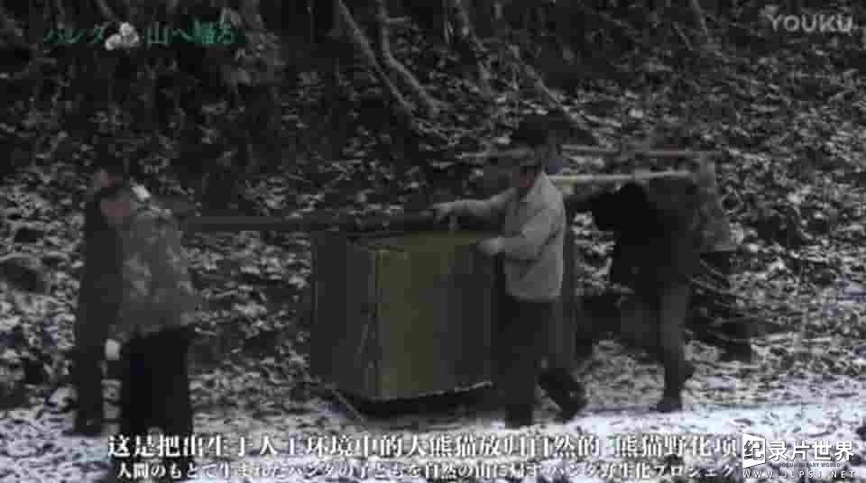 NHK纪录片《熊猫回归山林 野放全记录 2016》全1集