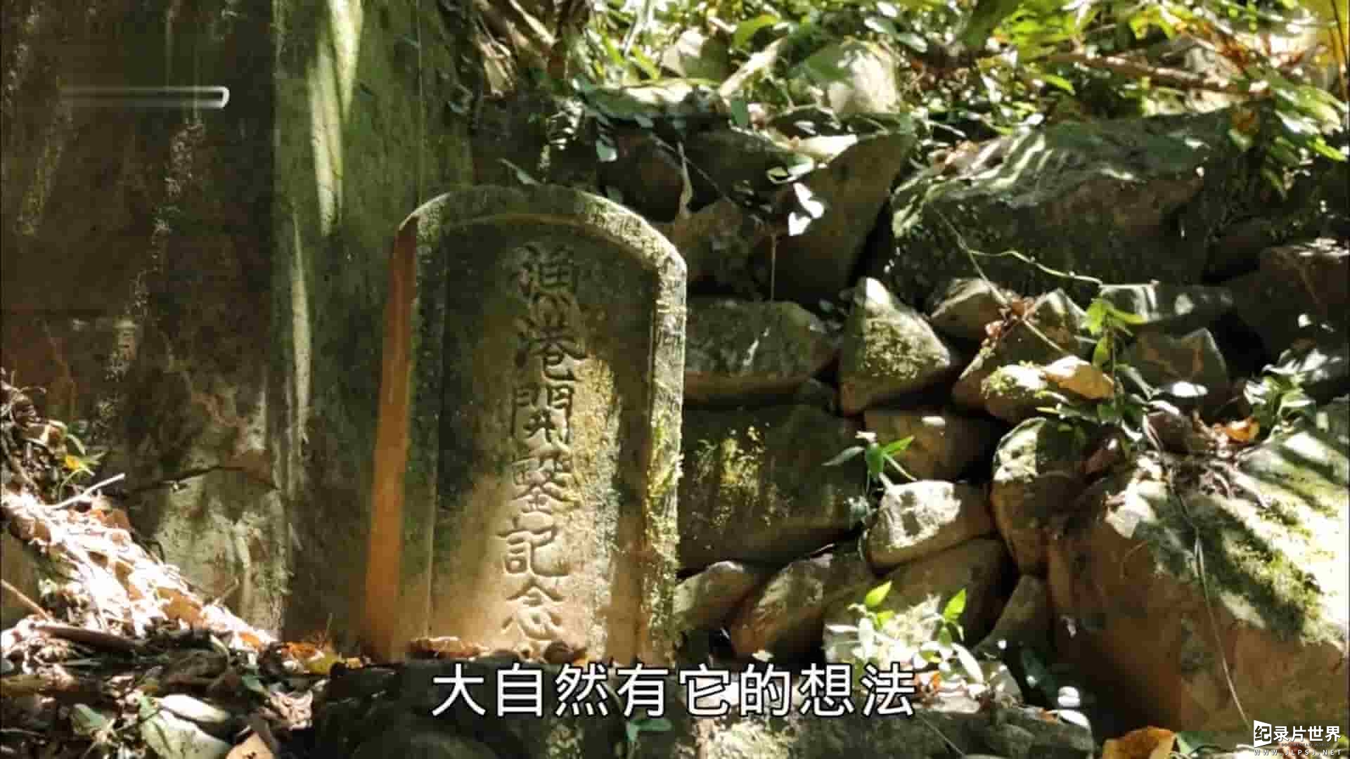 台湾公视《秘境之屿：龟岛探索》全1集 