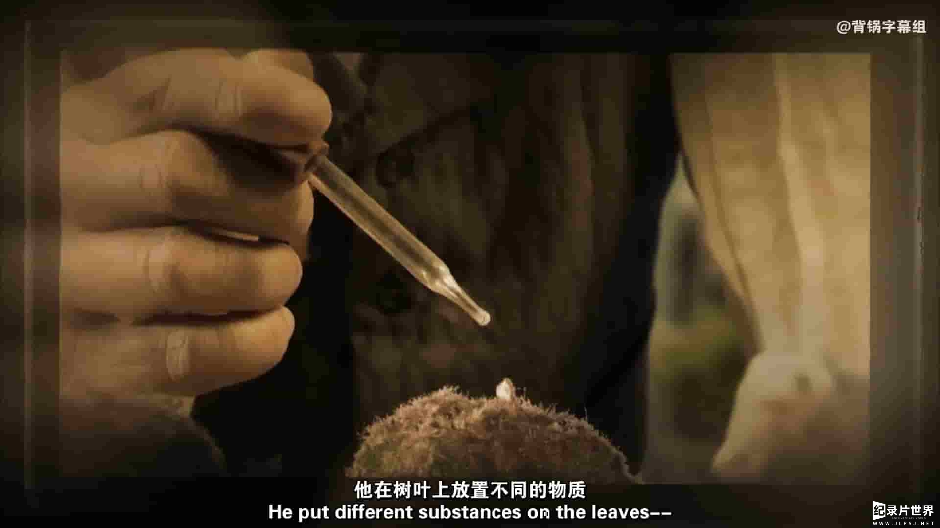 PBS纪录片《植物也坏坏：谋杀&杀戮 Plants Behaving Badly: Murder&Mayhem 2017》全1集