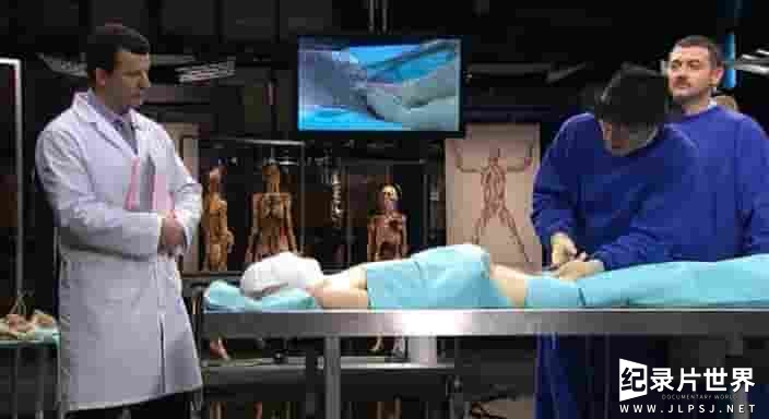 CH4纪录片《基础解剖学 Anatomy for Beginners 2005》全4集 