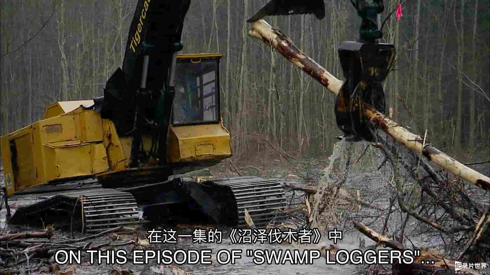 探索频道《沼泽伐木硬汉/沼泽伐木者 Swamp Loggers》第1-2季全20集