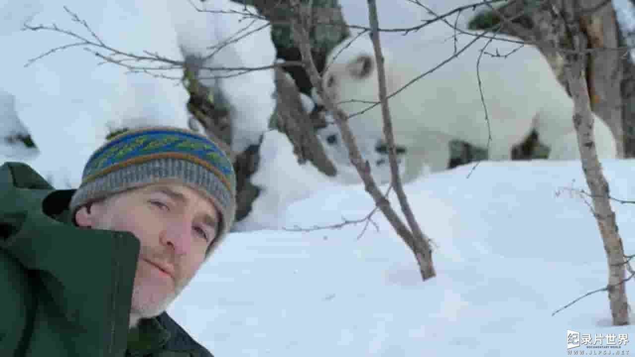 PBS纪录片《冰雪大地：冬季生灵 Nature Snowbound Animals of Winter 2017》全1集