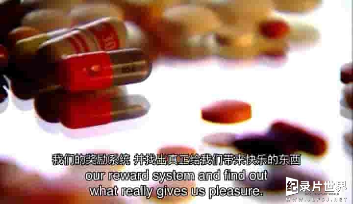 BBC纪录片《迈克尔·莫斯利的快乐与痛苦 Pleasure and Pain with Michael Mosley 2011》全1集