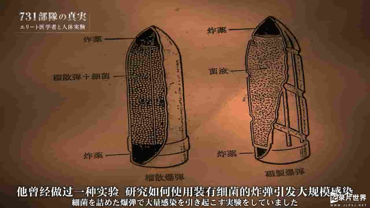 NHK纪录片《731部队的真相 精英医学研究者和人体实验 2017》全1集 