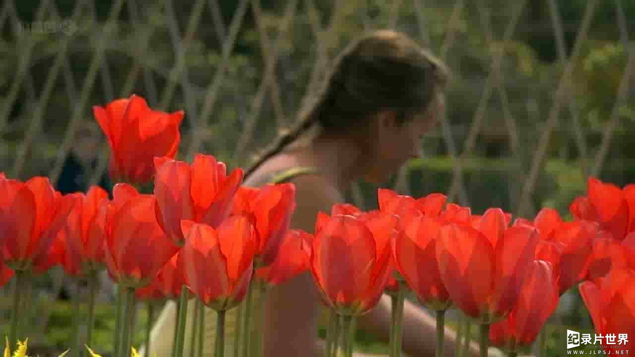 BBC纪录片《海利根失乐园 Heligan: Secrets of the Lost Gardens》全1集