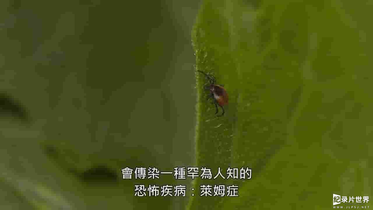 美国纪录片《莱姆症的秘密 Lyme Disease 2017》全1集 