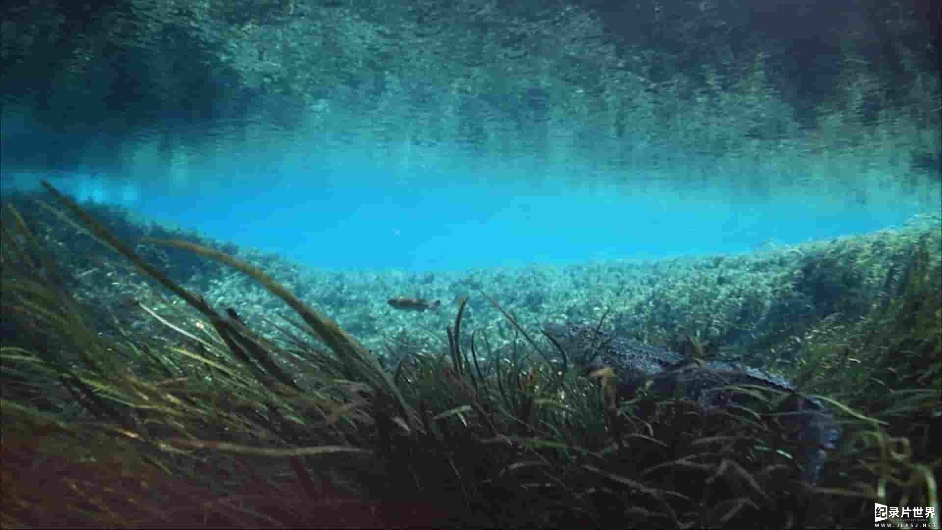 美国纪录片《海湾的飓风 Hurricane on the Bayou》全1集 