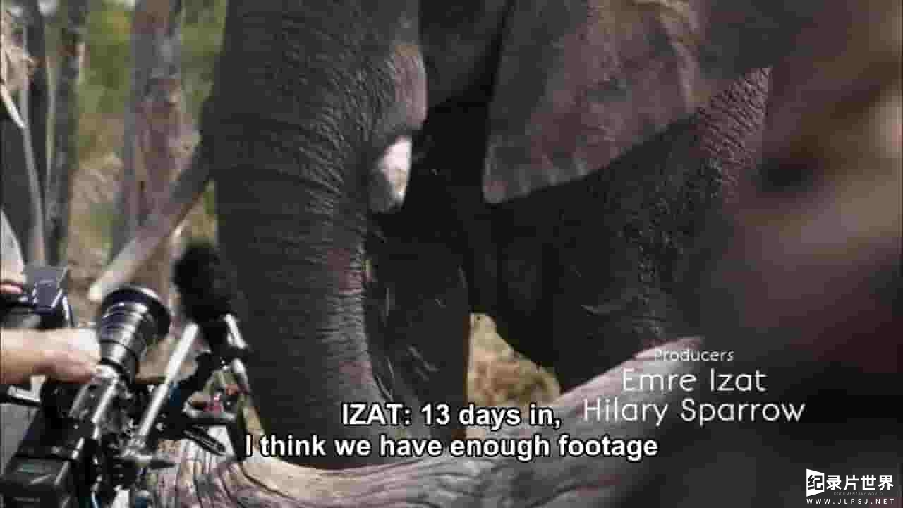  PBS纪录片《小象纳莱迪 Naledi One Little Elephant 2017》全1集 