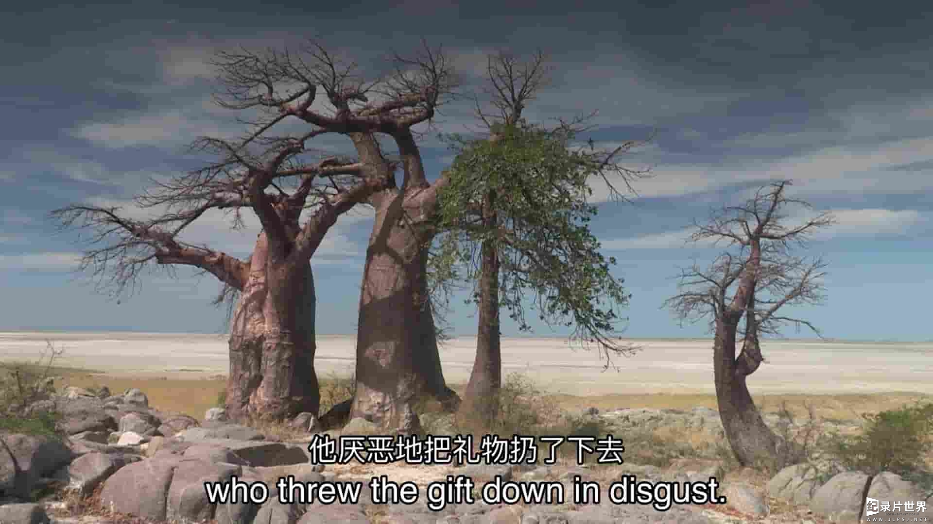 Curiosity纪录片《猴面包树：颠倒的树 Baobab: The Upside-Down Tree 2023》全1集 