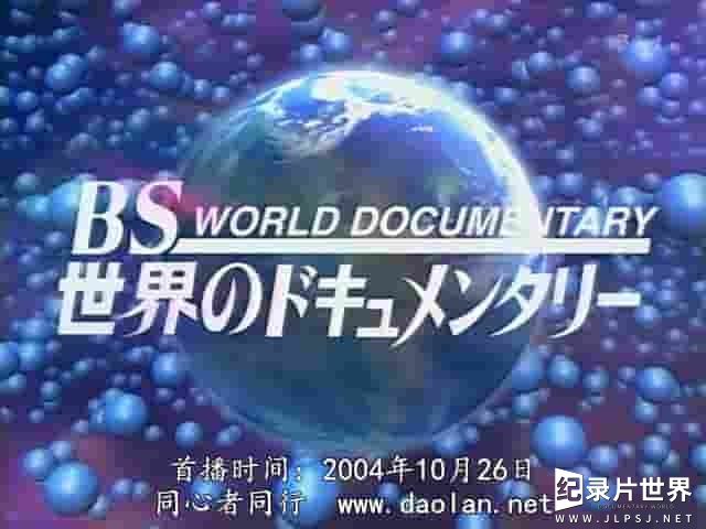 NHK纪录片《沙特王室与美国外交 サウジ王家とアメリカ外交 2004》全2集 