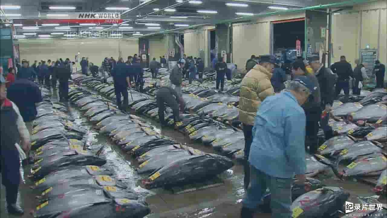NHK纪录片《筑地足迹：鲭 Trails to Tsukiji Saba Mackerel 2017》全1集