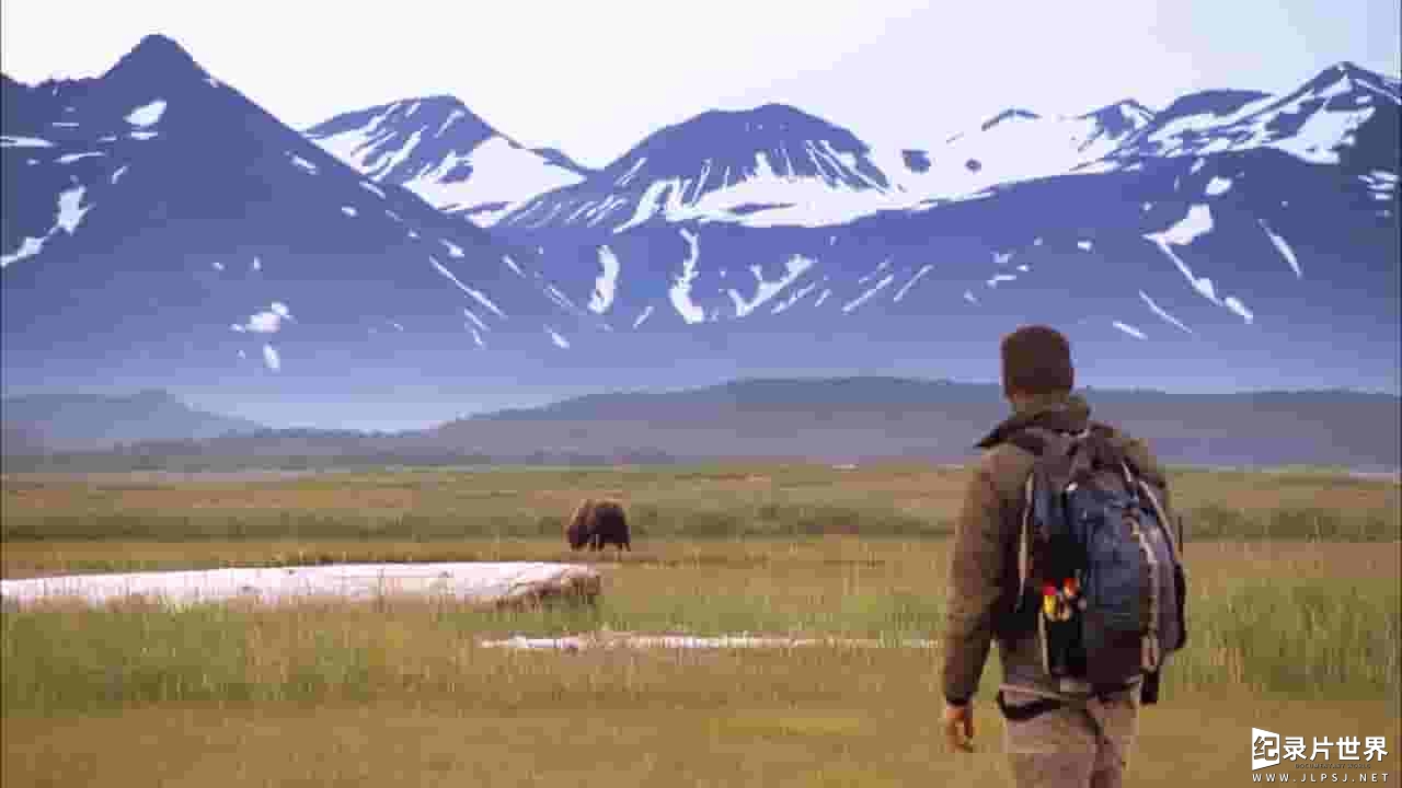 PBS纪录片《最后边疆的大熊 Bears of the Last Frontier 2011》全3集