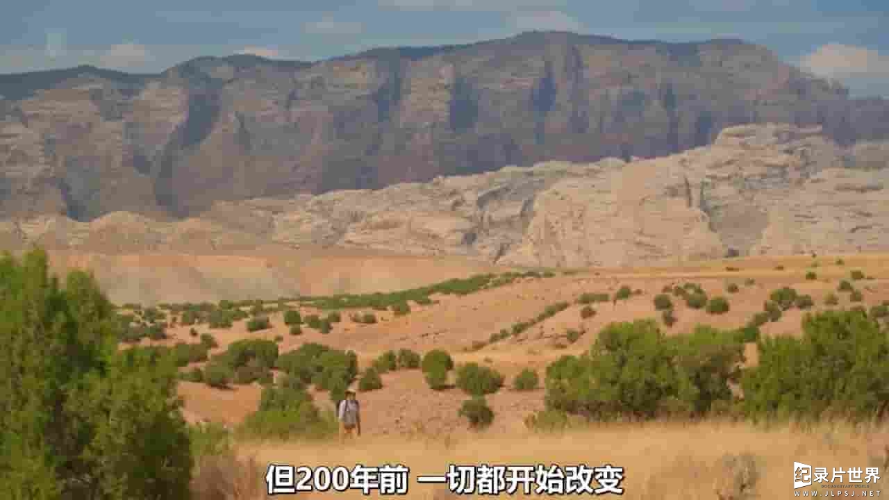 Ch5纪录片《走进恐龙谷 Into Dinosaur Valley with Dan Snow 2022》全1集 