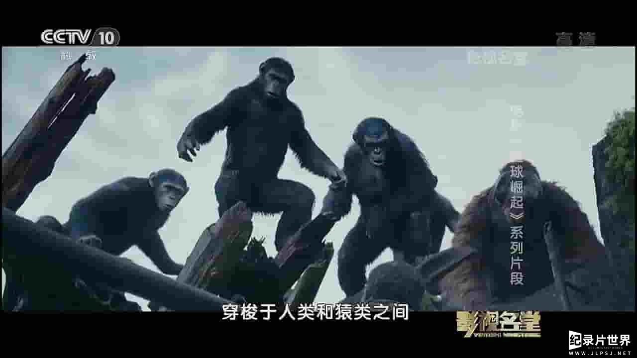 央视纪录片《人猿启示录 2014》全1集