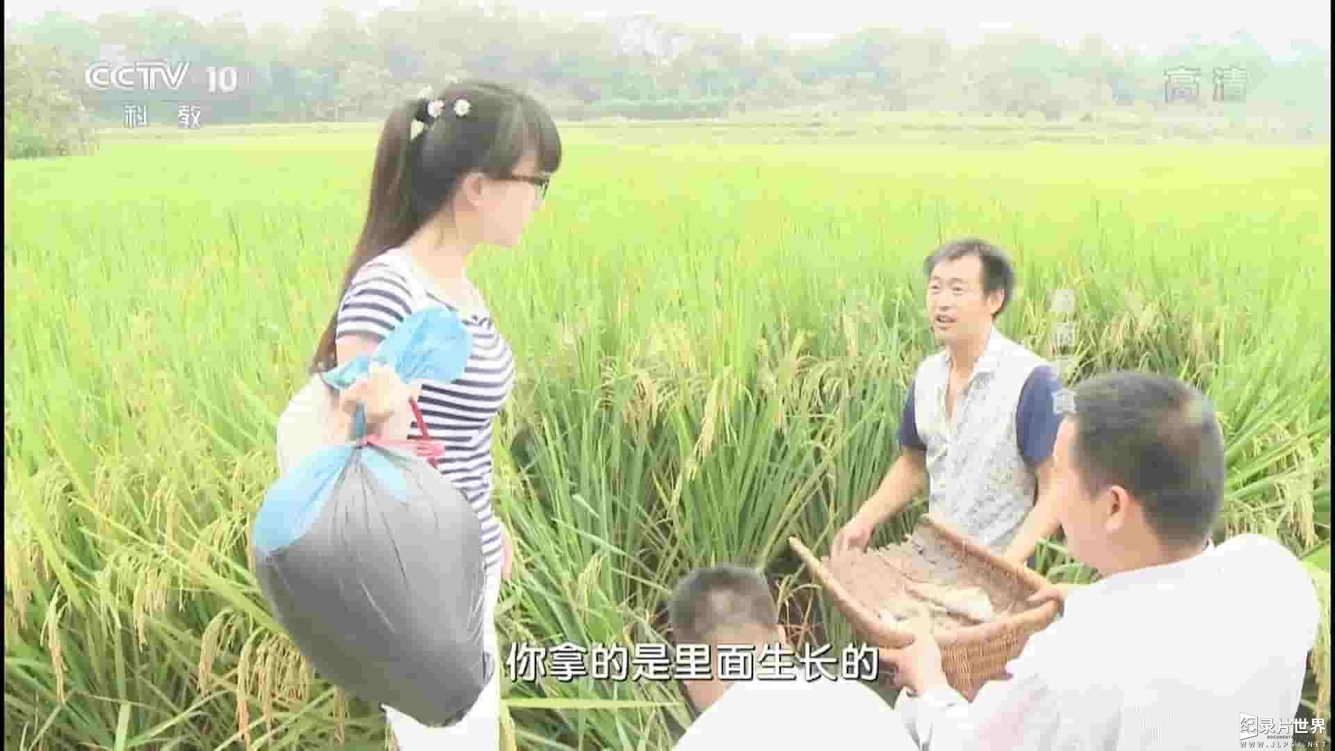 央视纪录片《奇厨异食 2015》全1集