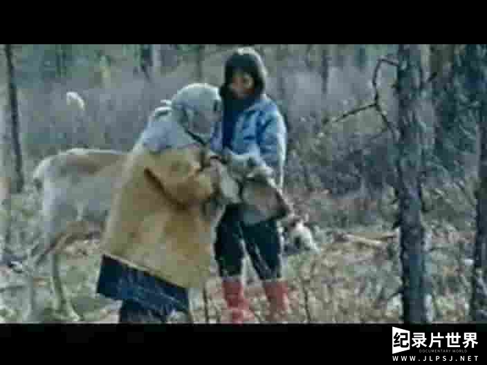 国产纪录片《神鹿啊，我们的神鹿 Fading Reindeer Bell 1996》全1集