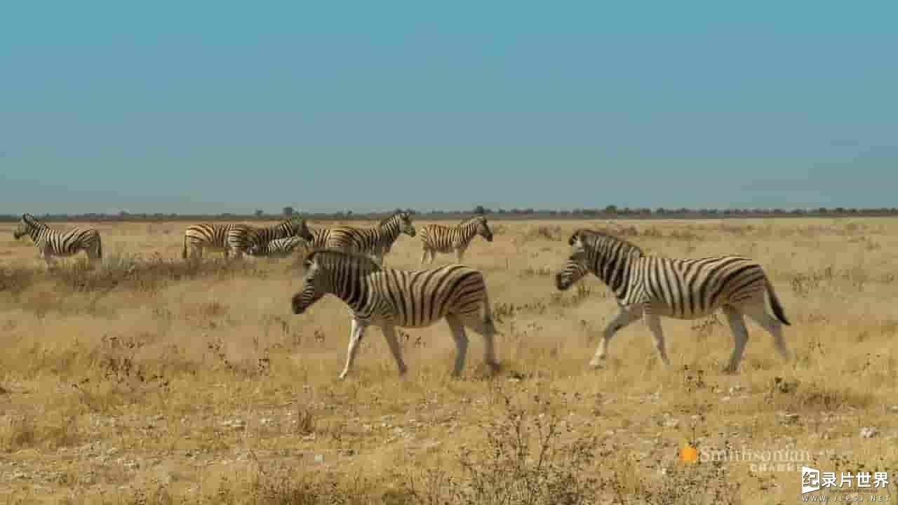 斯密森频道《纳米比亚：狂野奇迹 Namibia's Wild Wonders 2014》全1集