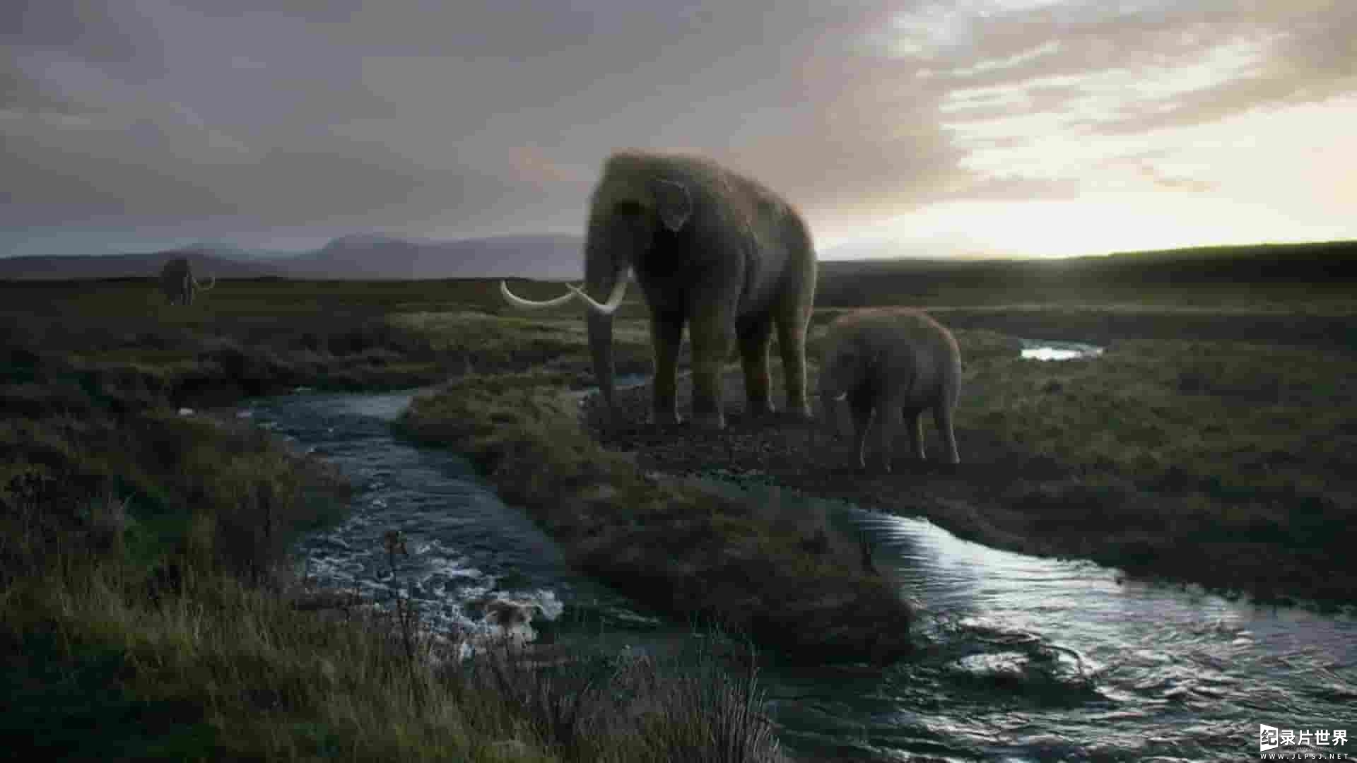 PBS纪录片《猛犸象之谜 Great Mammoth Mystery 2022》全1集
