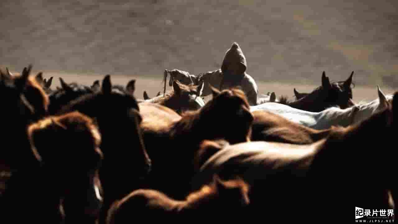 PBS纪录片《马的故事 Equus Story of the Horse》第1季全3集