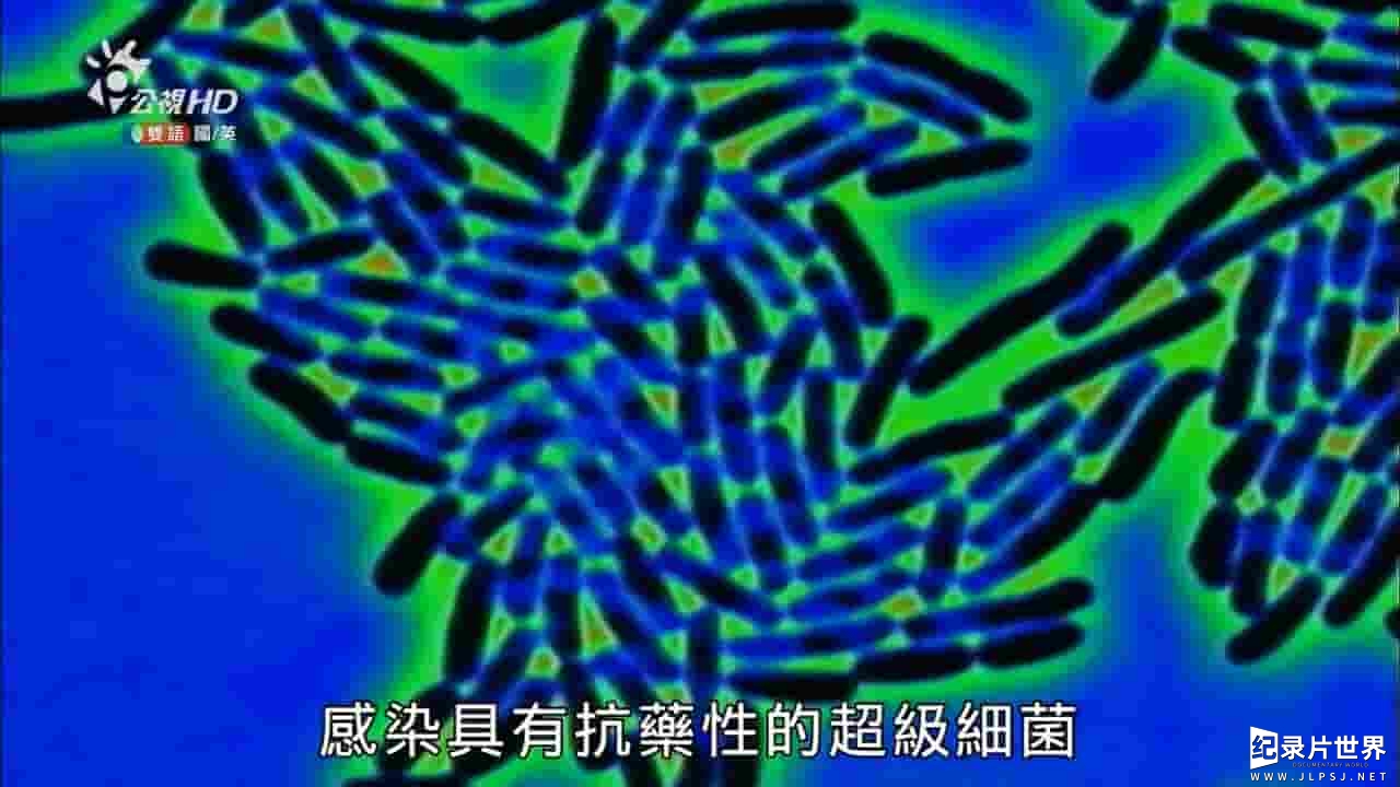 PBS纪录片《猎杀超级细菌 Hunting The Nightmare Bacteris》全1集