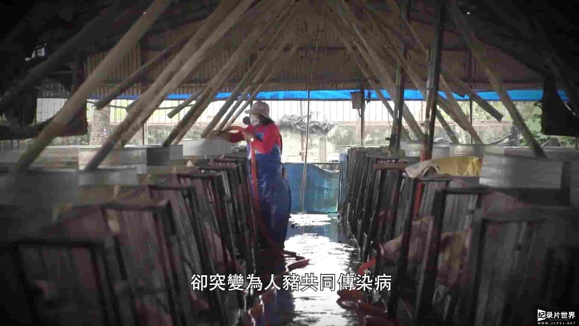 台湾纪录片《打开社会事件S档案：人畜传染的扑朔迷离 Open The S File #07 2018》全1集