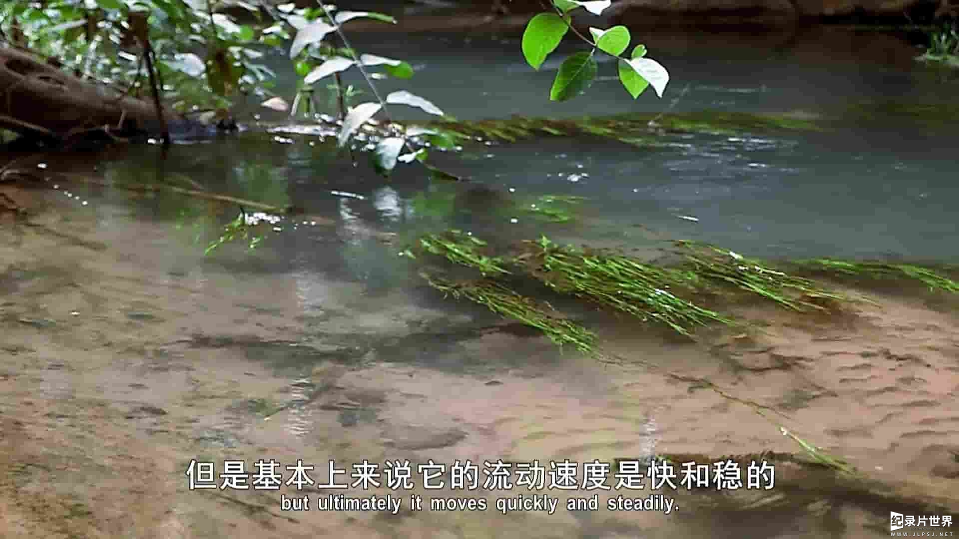 美国纪录片《水的故事 Water:H2O stories》全3集