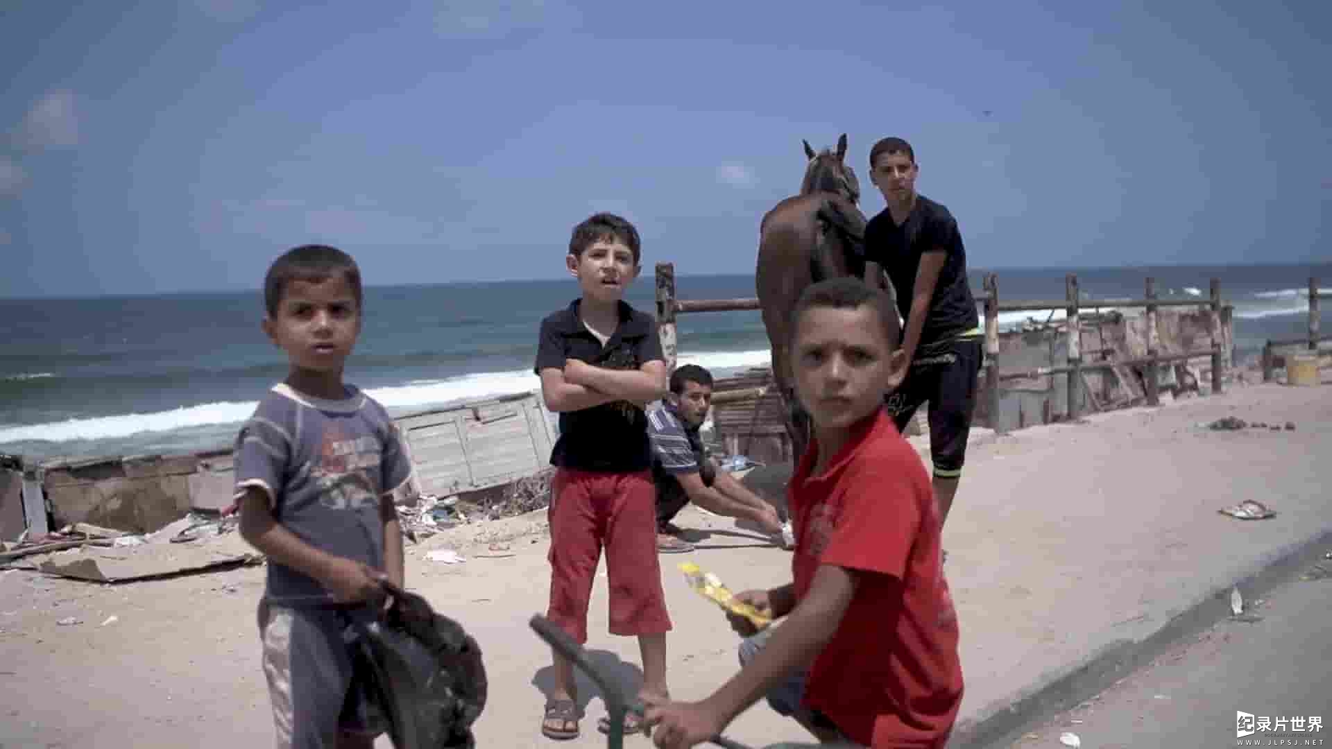西班牙纪录片《生于加沙 Nacido en Gaza 2014》全1集