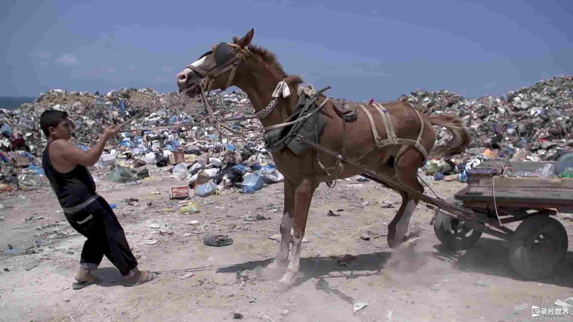 西班牙纪录片《生于加沙 Nacido en Gaza 2014》全1集