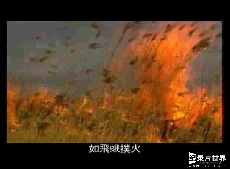 凤凰卫视《北大荒青春纪事 2005》全2集