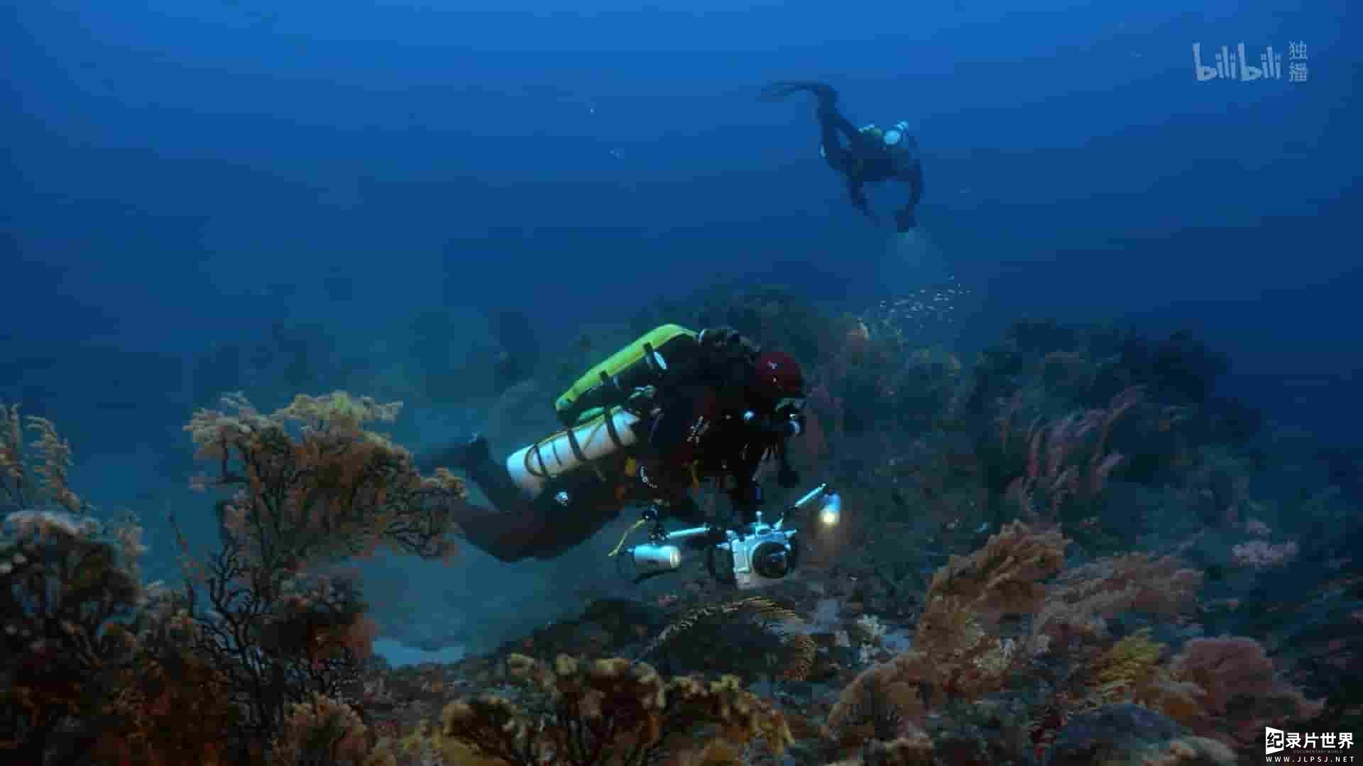 法国纪录片《极度深海 The Deep Med 2020》全1集 