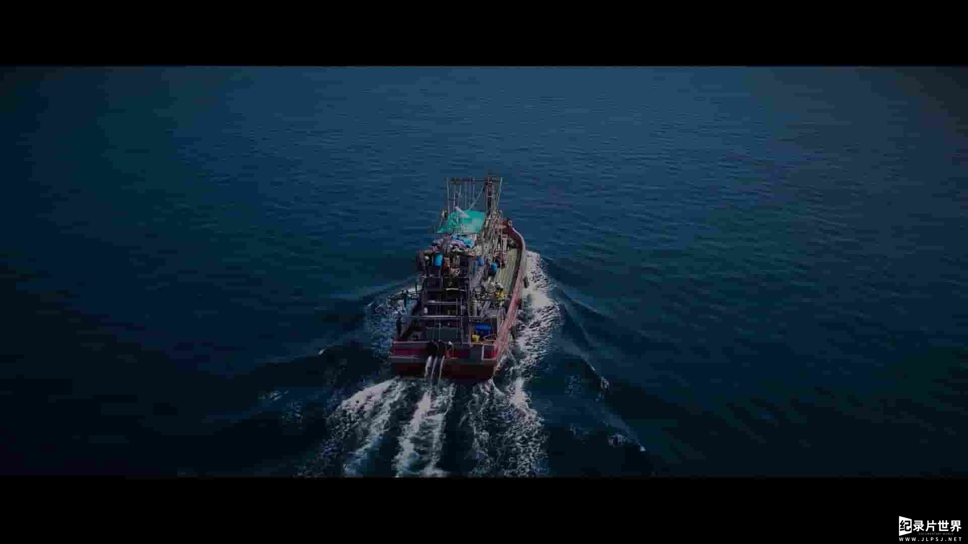 Netflix纪录片《海洋阴谋 Seaspiracy 2021》全1集 