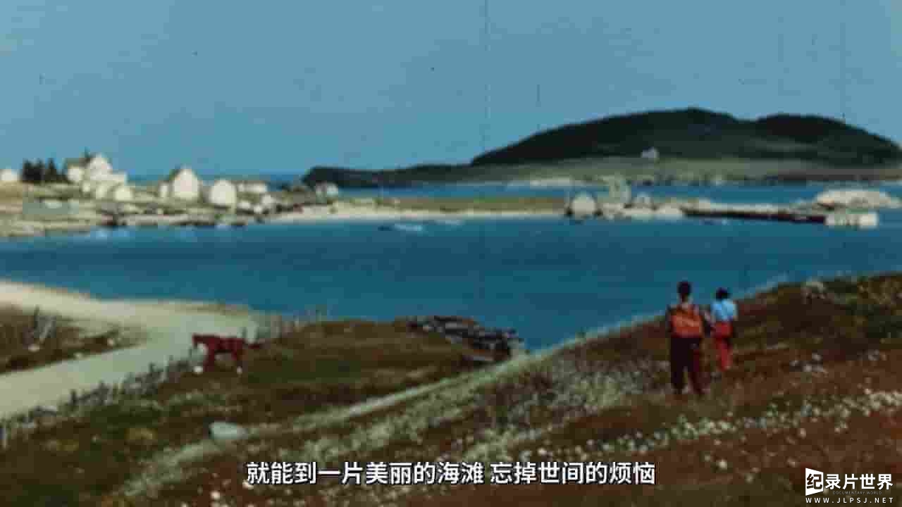 加拿大纪录片《毒水：环境种族主义 There's Something in the Water 2019》全1集