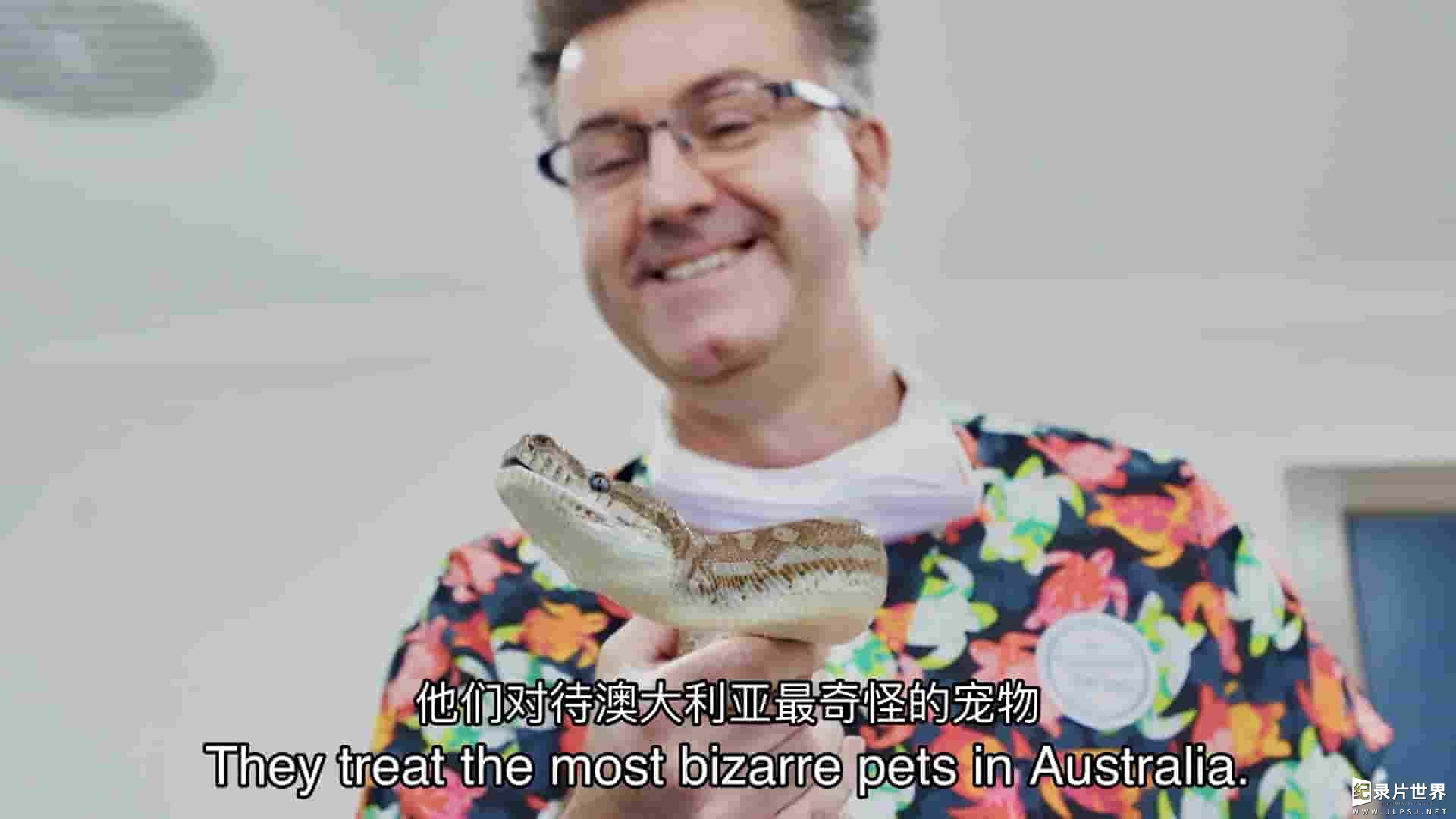 澳大利亚纪录片《奇异的宠物兽医 The Bizarre Pet Vets 2022》第1季全6集