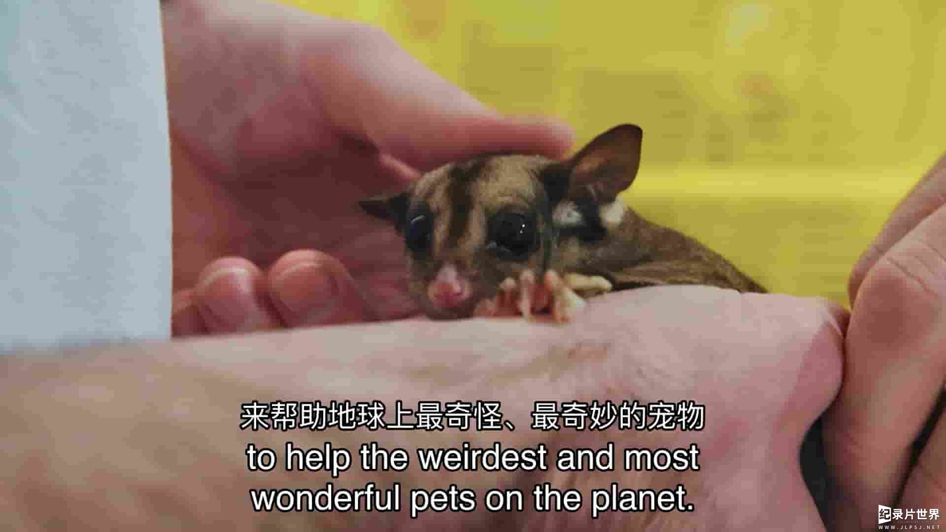 澳大利亚纪录片《奇异的宠物兽医 The Bizarre Pet Vets 2022》第1季全6集