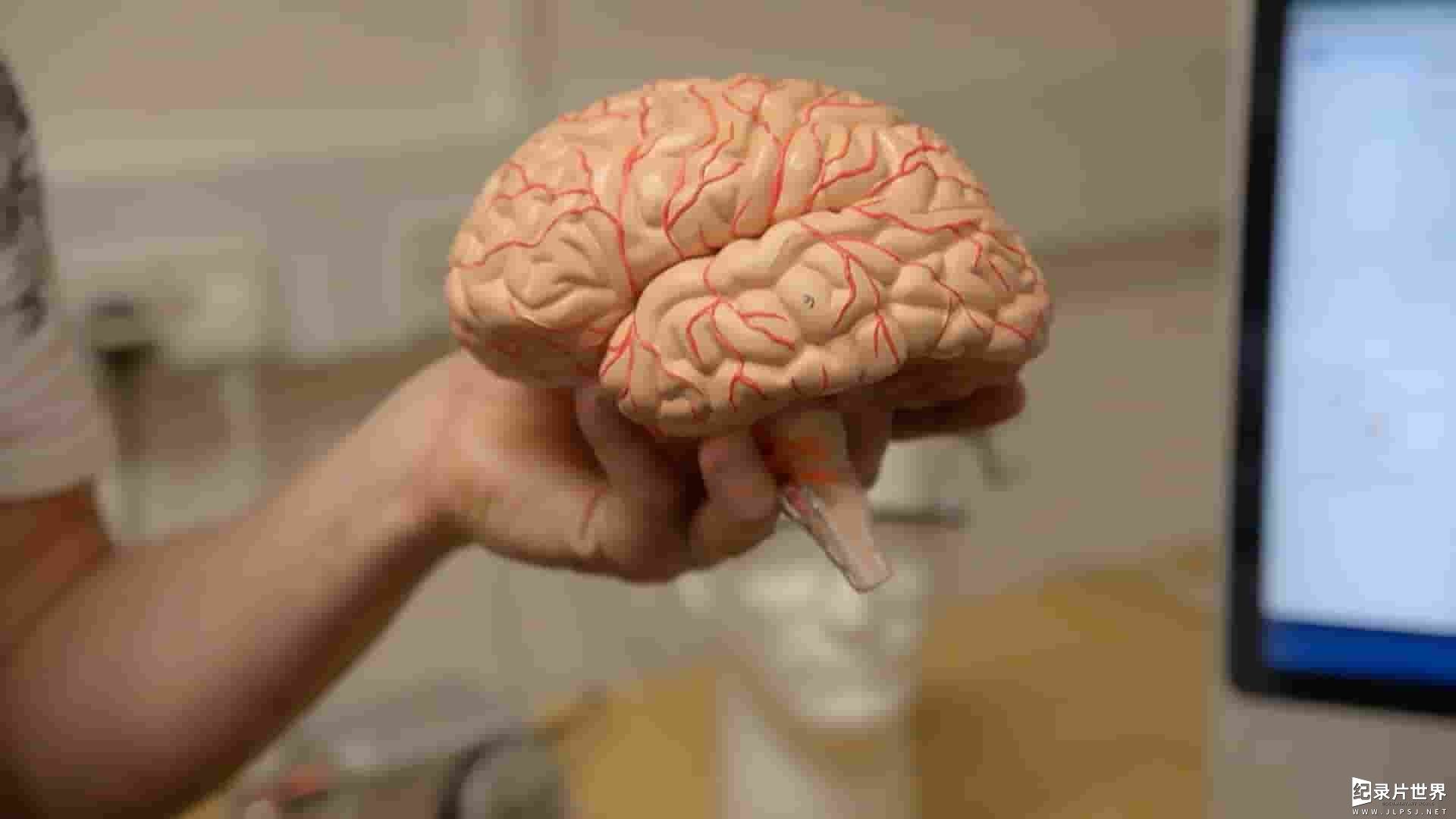 Curiosity纪录片《大脑的秘密 Secrets of the Brain 2021》第1-2季全20集 