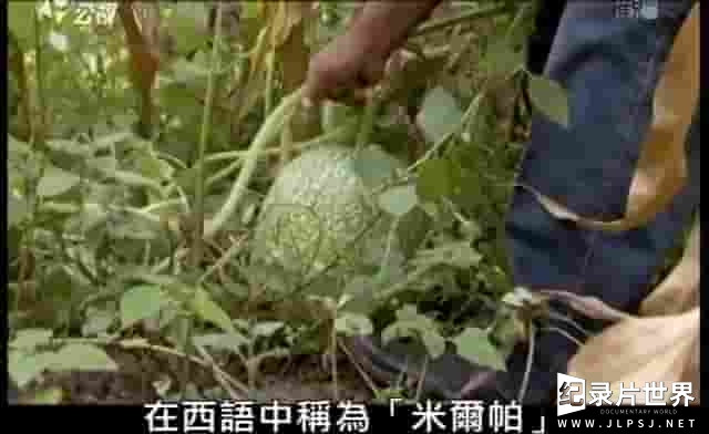 法国纪录片《未来的收获 Crops of The Future》全1集