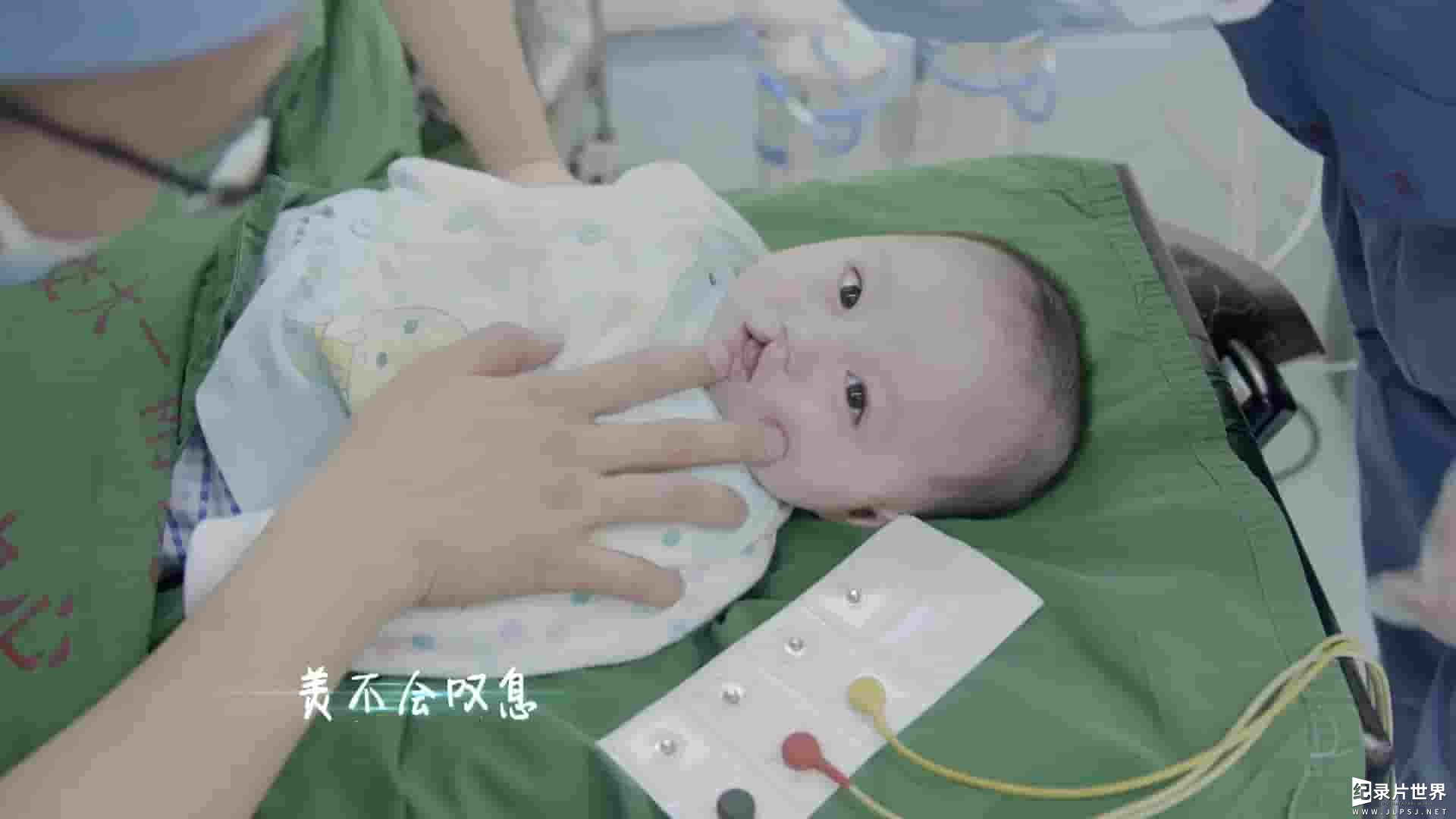 国产纪录片《中国医生 The Chinese Doctor 2019》全9集