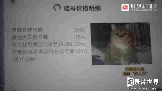 凤凰新闻《宠物医生和他的“病人们” 2019》全1集