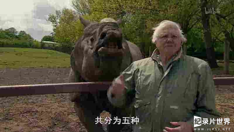  BBC纪录片《自然趣闻/大卫·爱登堡的自然奇迹 David Attenborough’s Natural Curiosities 2014》第2-3季全16集