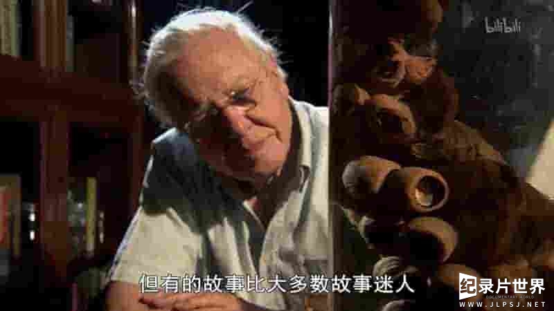  BBC纪录片《自然趣闻/大卫·爱登堡的自然奇迹 David Attenborough’s Natural Curiosities 2014》第2-3季全16集